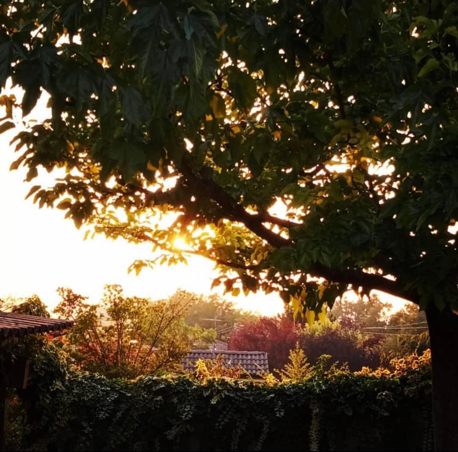 Bed and Breakfast Anticacascina Quarto  Exterior foto
